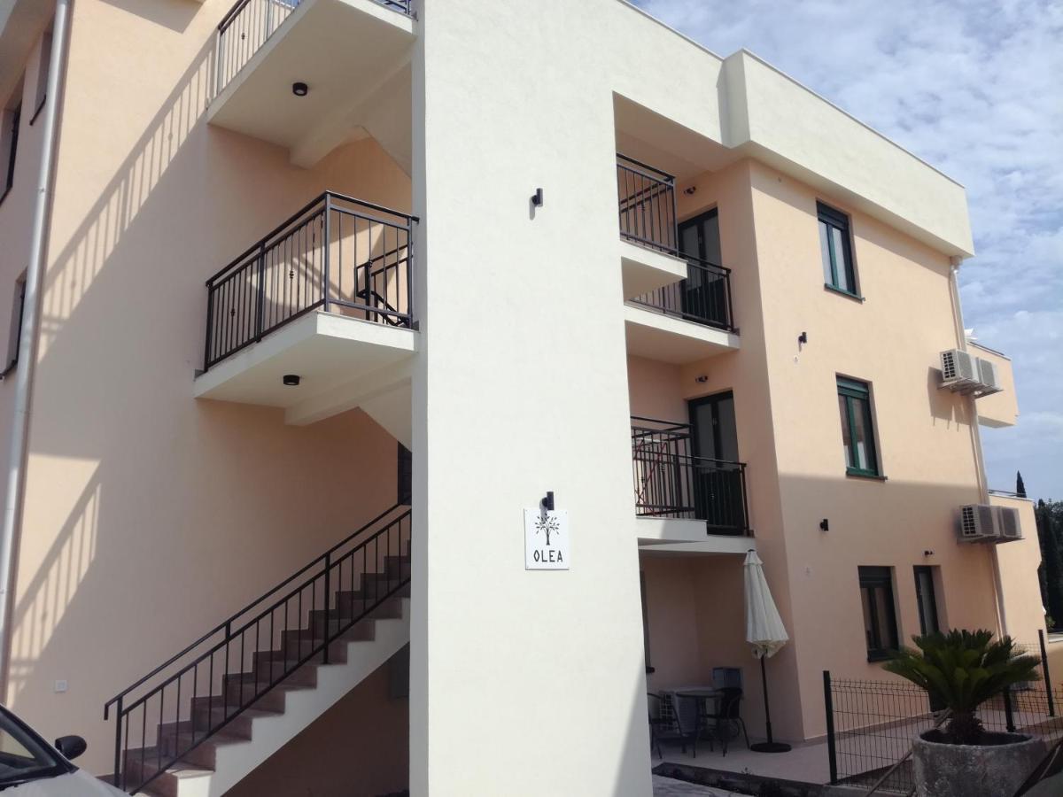 Olea Apartment Tivat Bagian luar foto