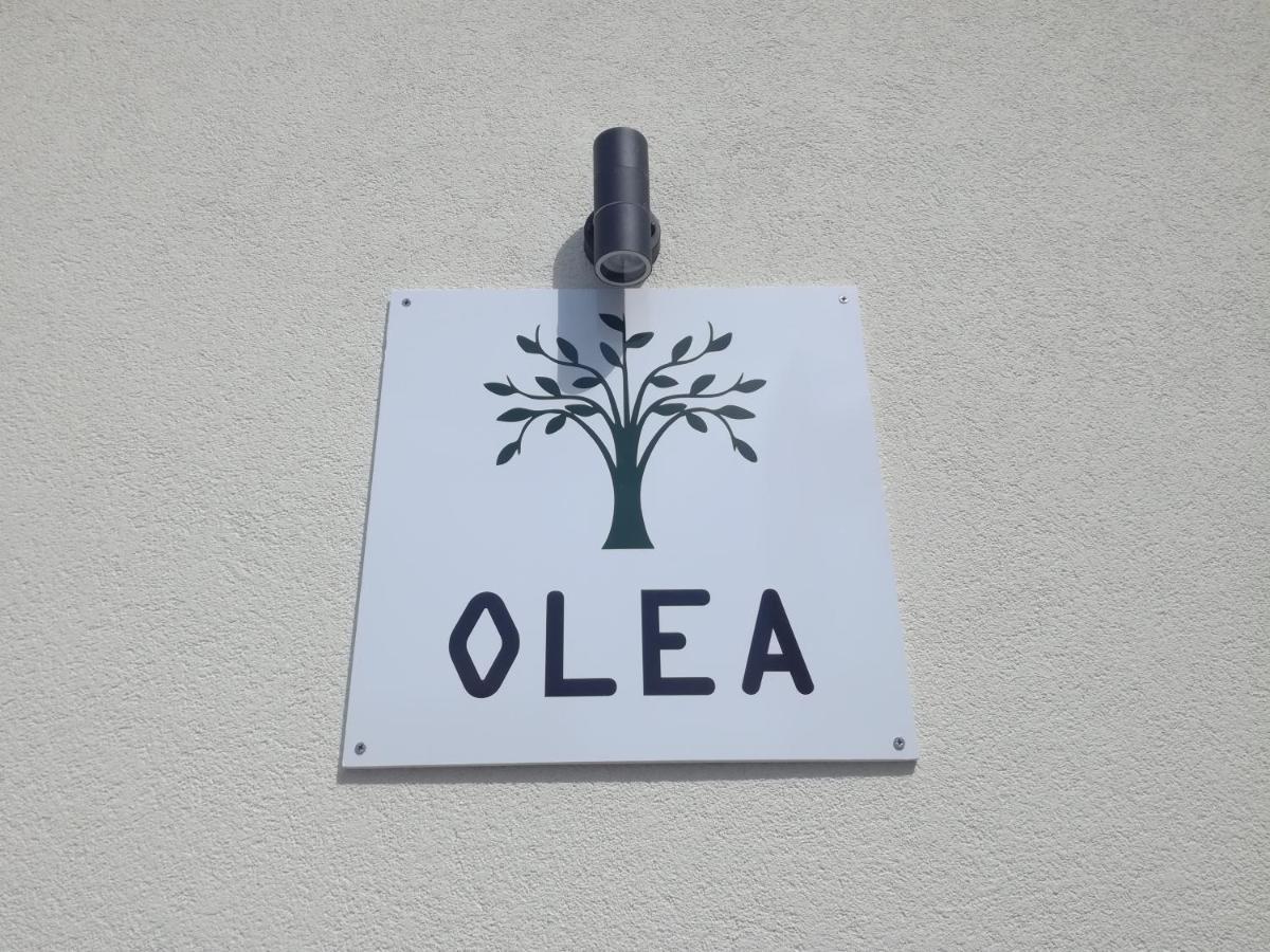 Olea Apartment Tivat Bagian luar foto