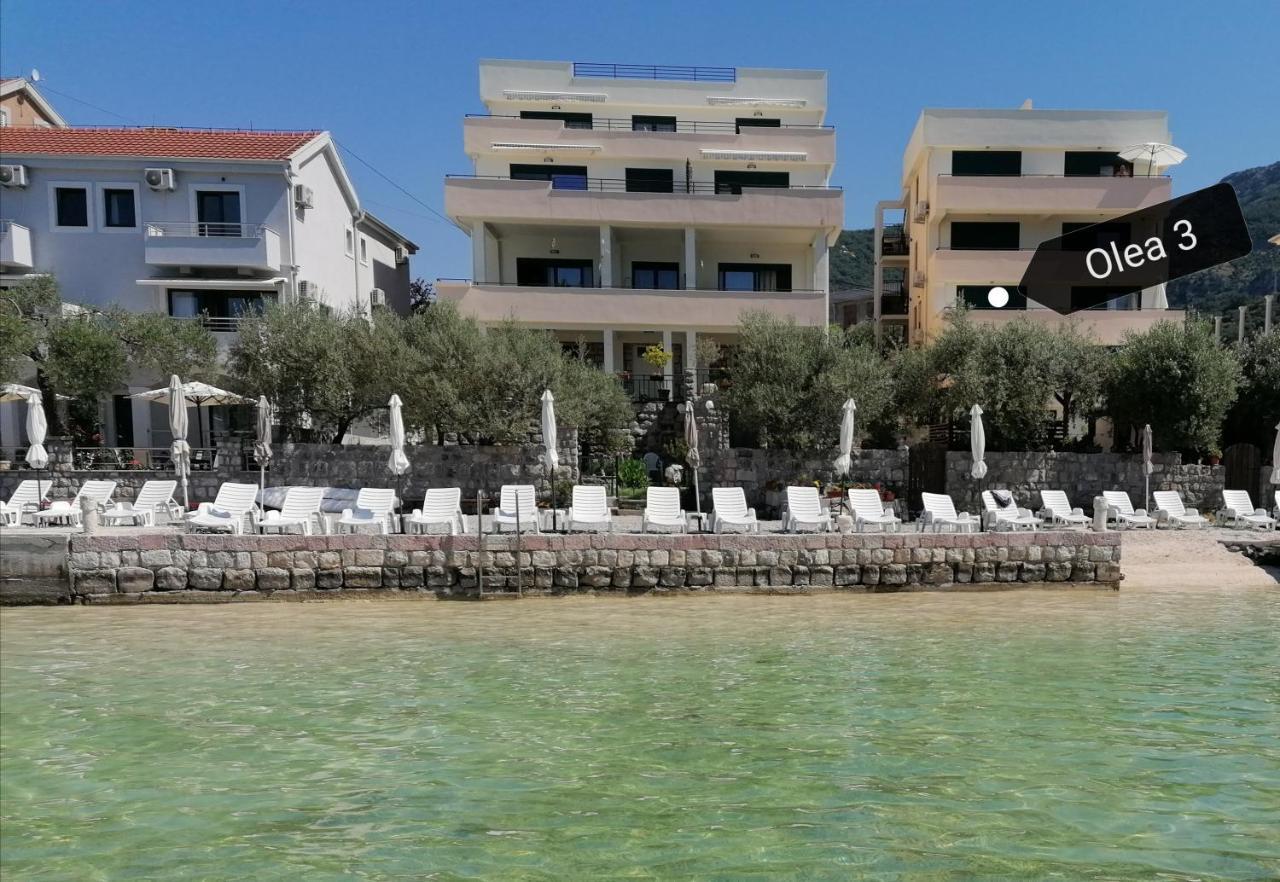 Olea Apartment Tivat Bagian luar foto