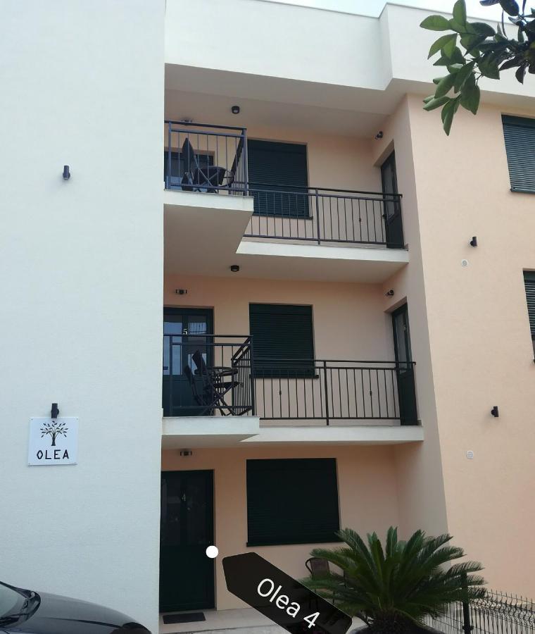 Olea Apartment Tivat Bagian luar foto